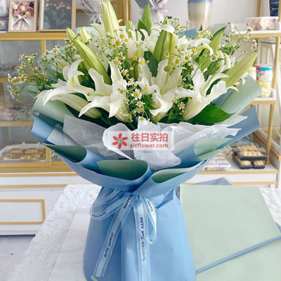 阳江8支白色多头百合洋甘菊，互倾的思念